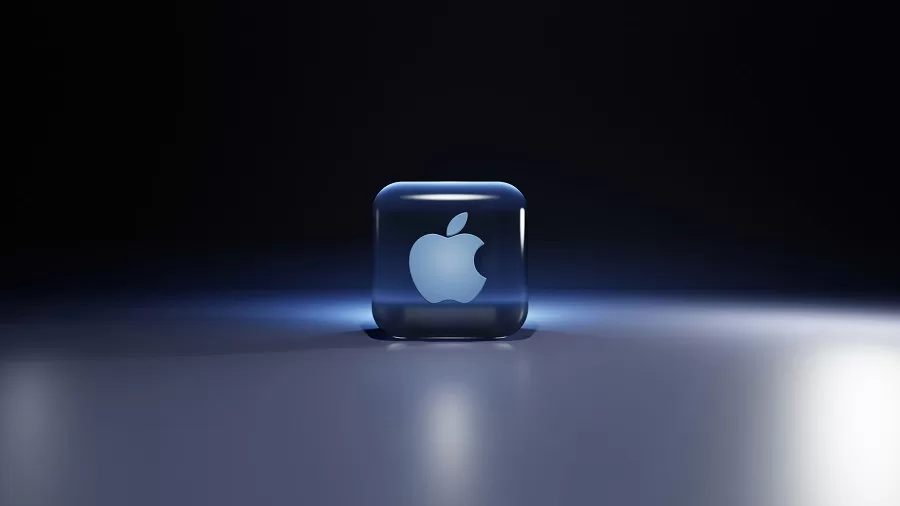 The Investment Perspective - visual representation