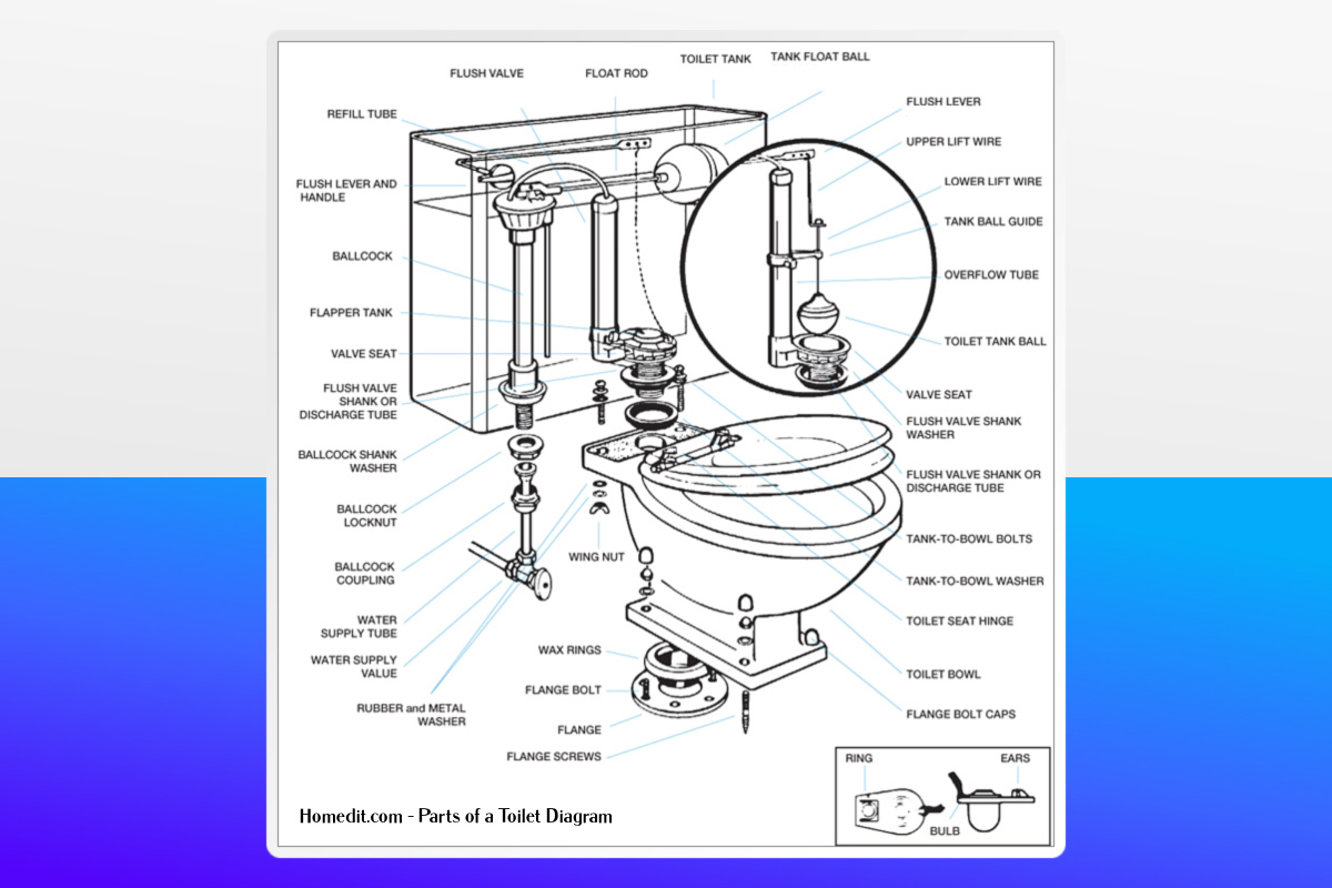 How Throne Collects and Analyzes Your Data - visual representation