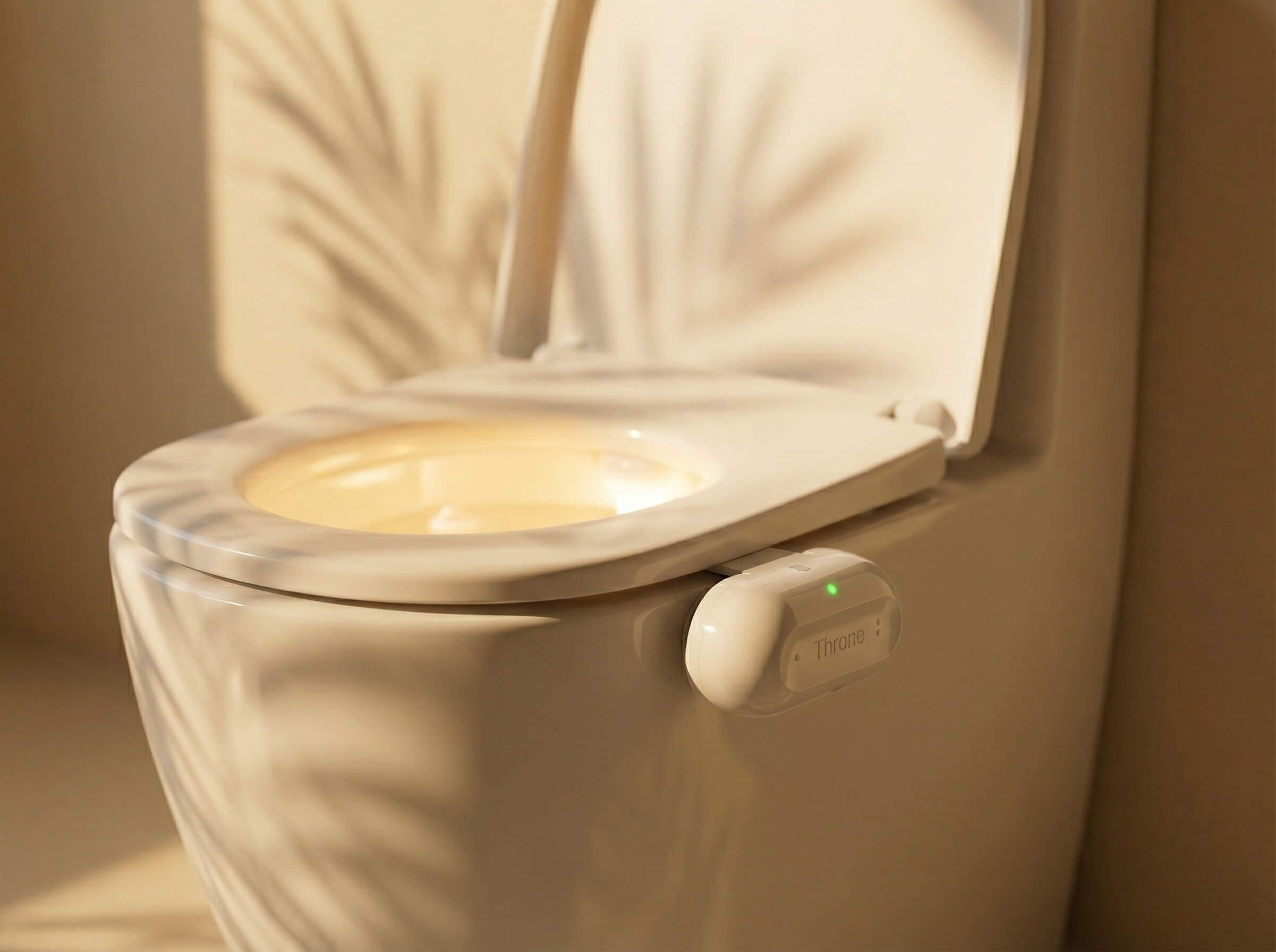 Implementation Considerations if You're Thinking About Trying Throne - visual representation