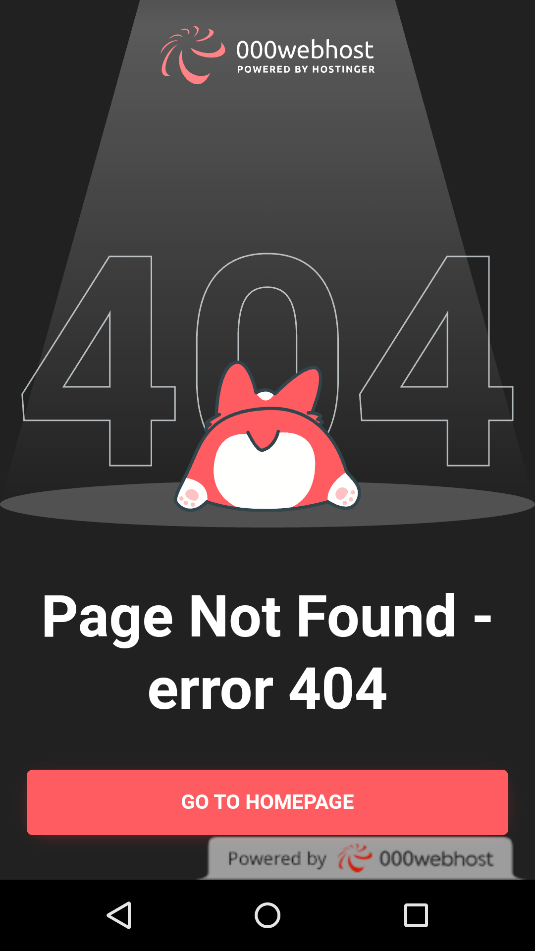 How Tik Tok Business Accounts Were Targeted - visual representation