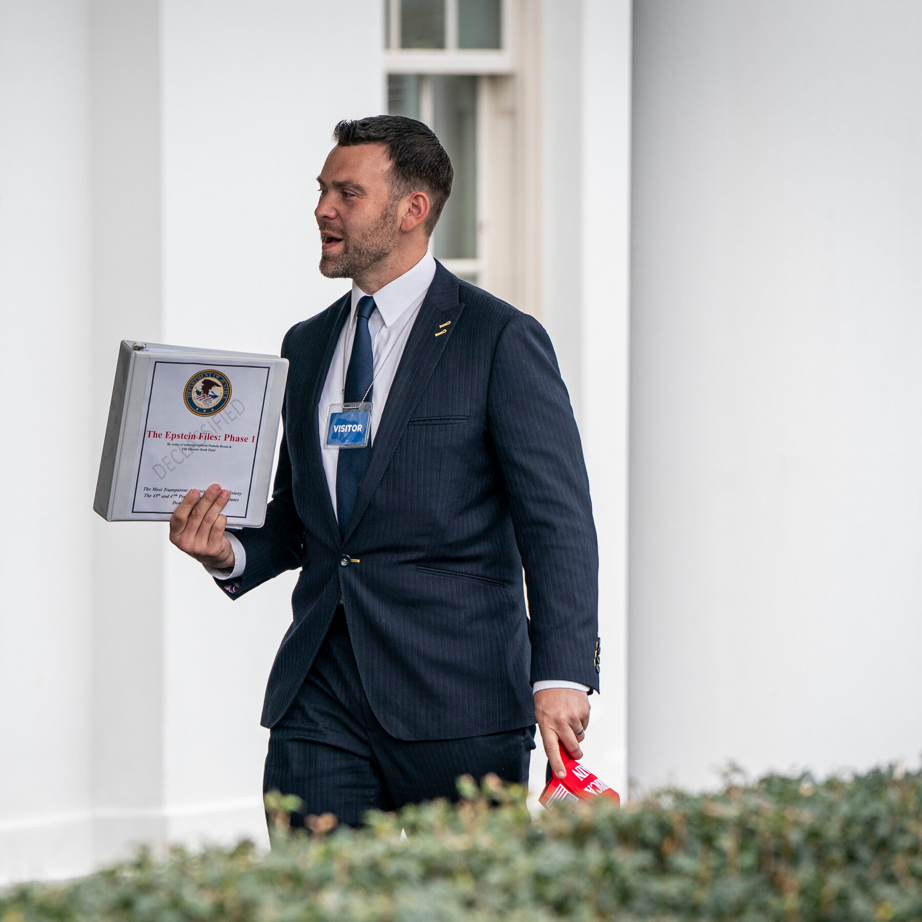 The Role of Distrust: Why People Don't Trust Institutions to Do This - visual representation