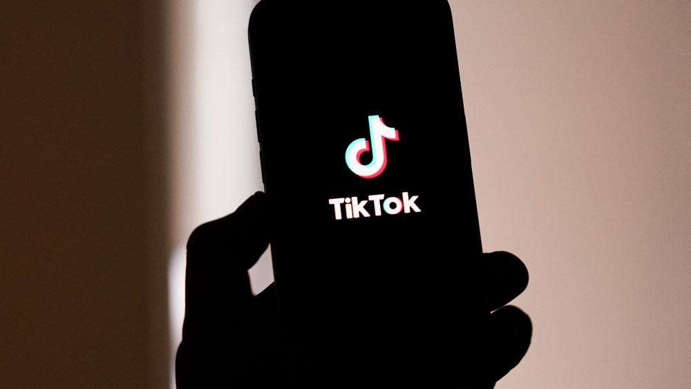 How TikTok Responded (Or Didn't) - visual representation
