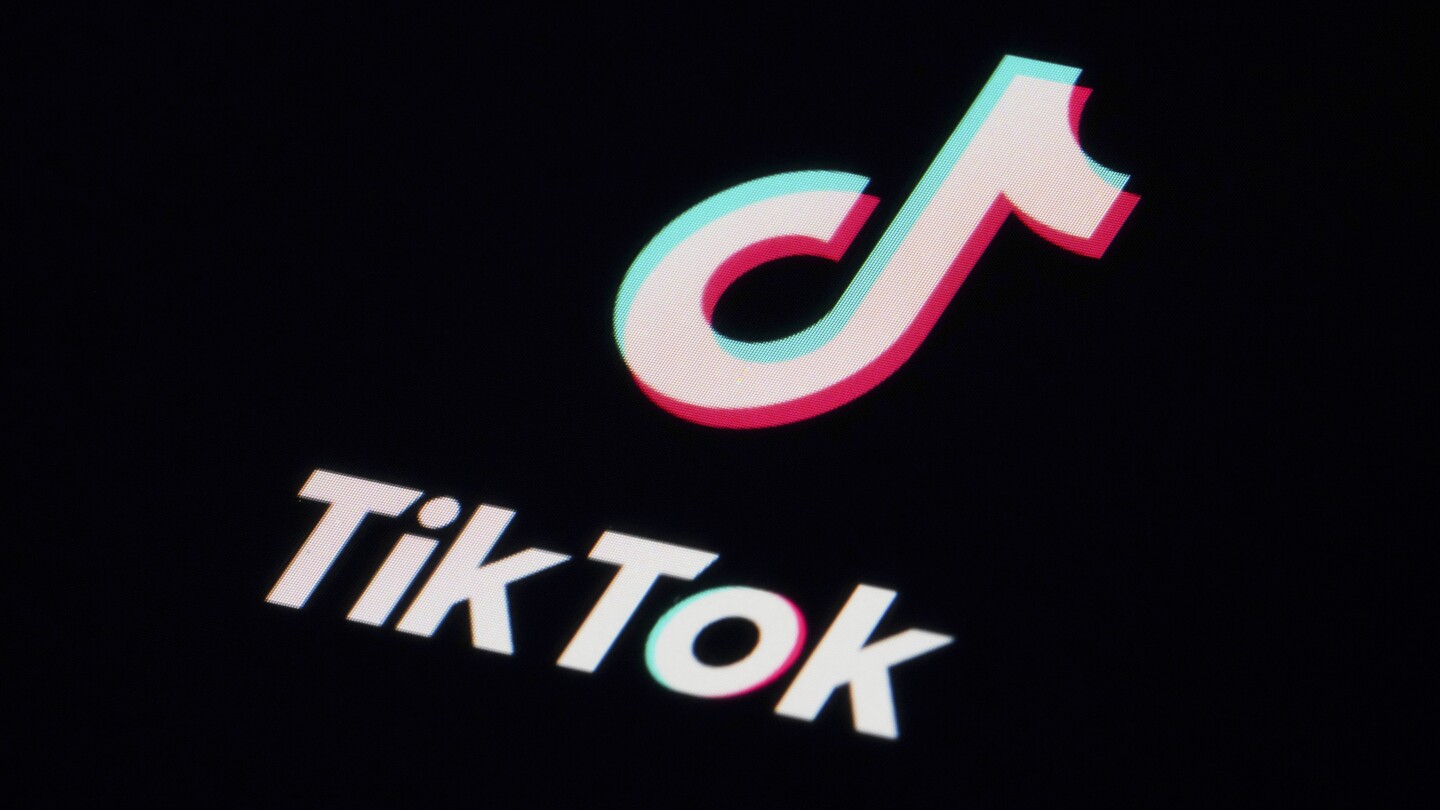 The Recovery Process: How TikTok Bounced Back - visual representation