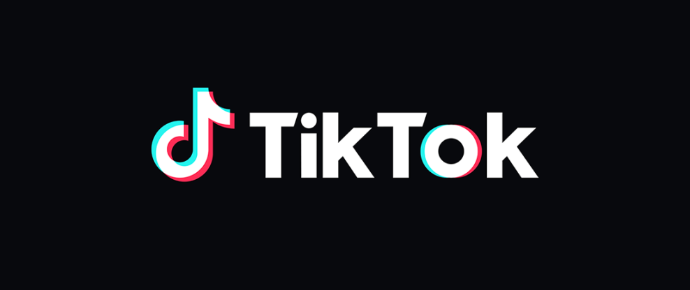 The Verdict: TikTok's Resilience Despite Vulnerability - visual representation