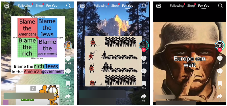 How Extremists Exploit E-Commerce Platforms - visual representation