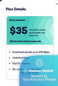 Understanding the Fine Print and Potential Drawbacks - visual representation