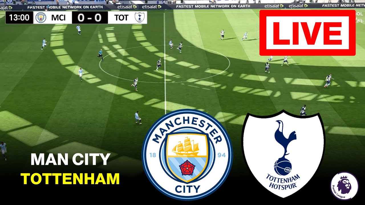 Geographic Restrictions and VPN Considerations - visual representation