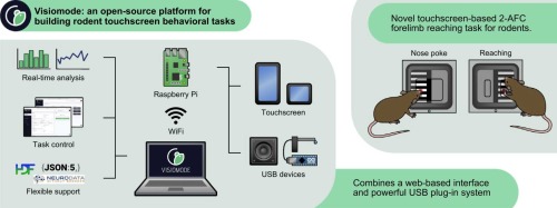The Over-Engineering Nightmare - visual representation