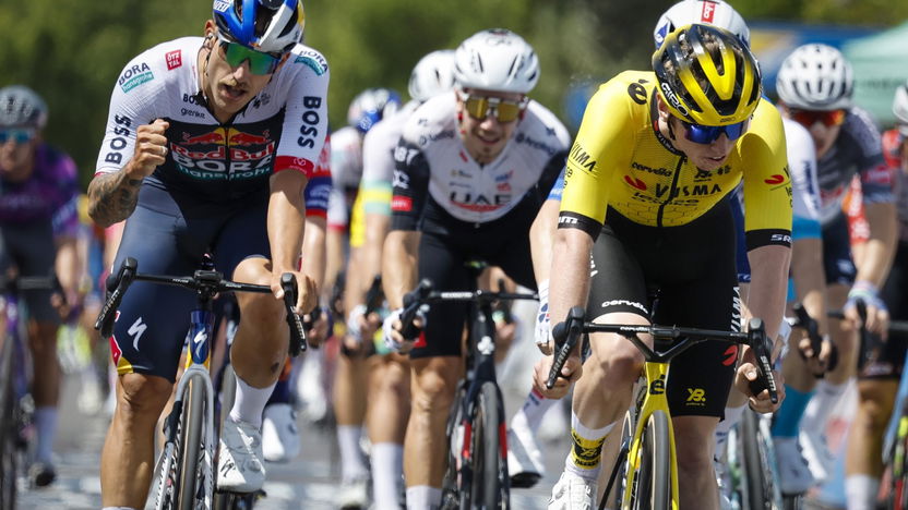 Special Considerations for Different Viewer Types - visual representation