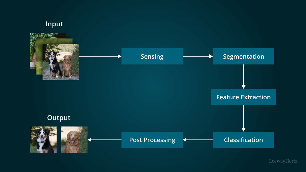 The Academic Narrative: Generations of Intellectual Obsession - visual representation