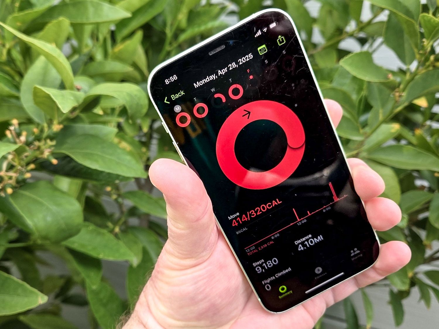 Best Practices for Consistent Tracking - visual representation