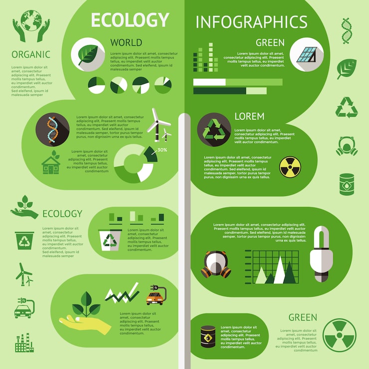 The Role of Major Brands - visual representation