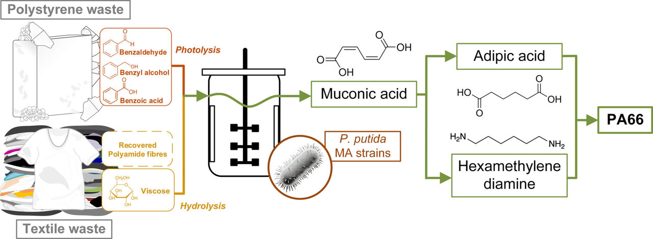 Transforming Polystyrene into Carbon Capture Material - contextual illustration