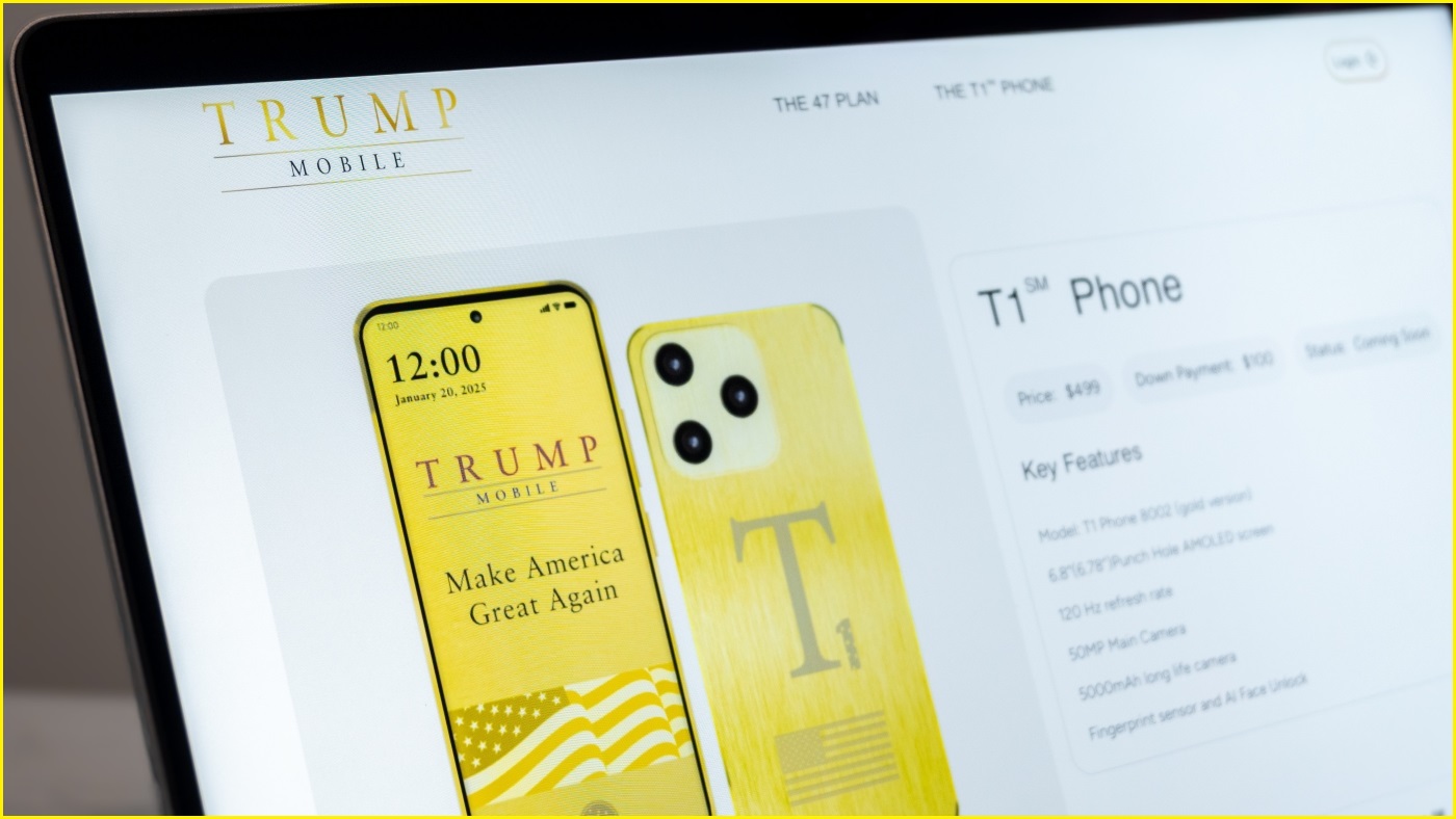 Conclusion: Institutional Integrity and the Rule of Law - visual representation