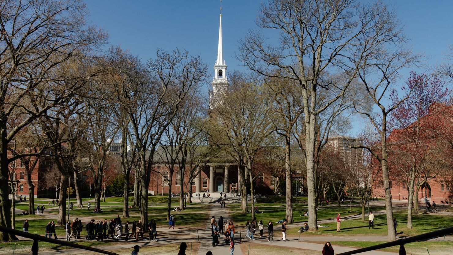 Collateral Damage: What This Means for Other Universities - visual representation
