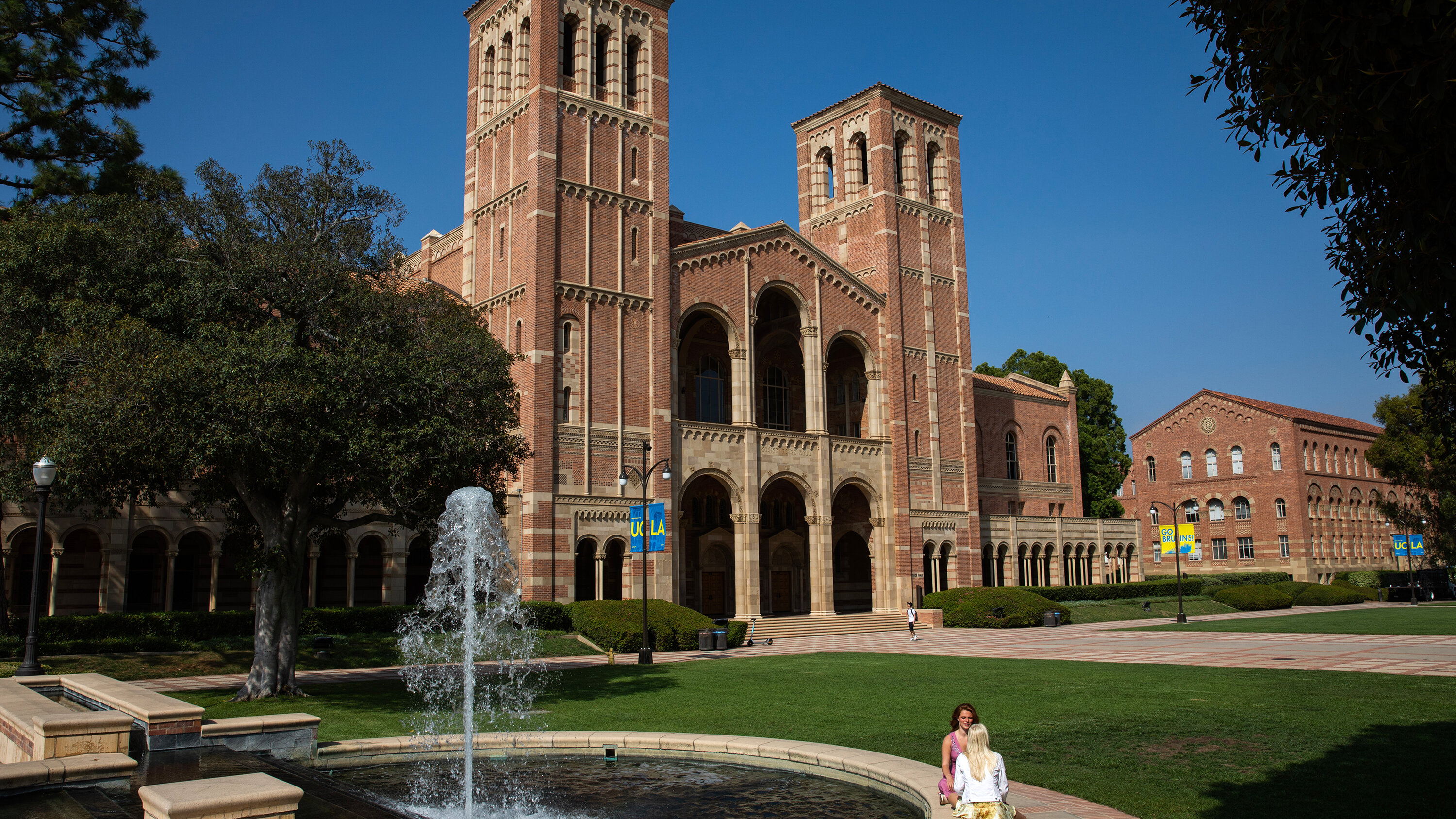 The Broader University Ecosystem: How Other Institutions Responded - visual representation