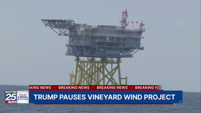 Precedent and Legal Implications - visual representation