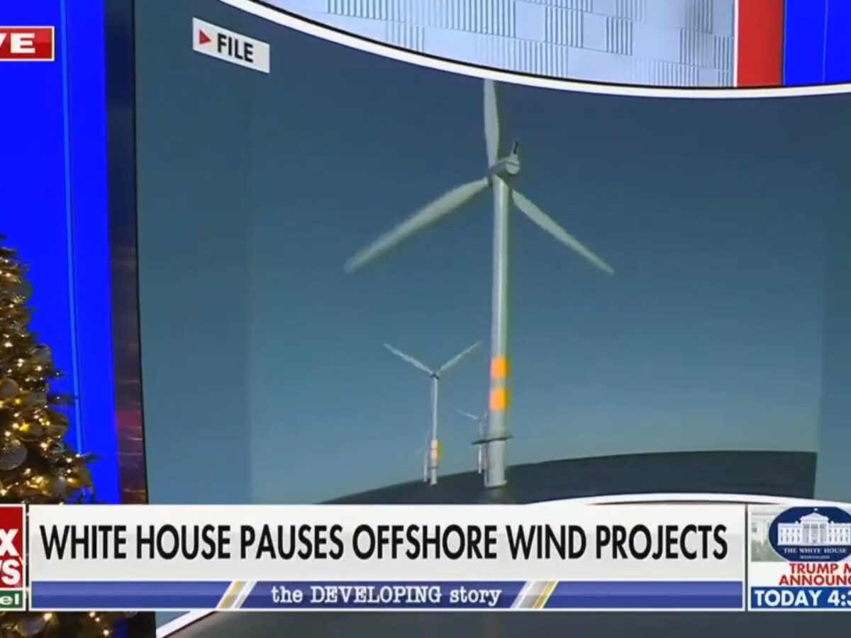 What Happens in the Courts: Likely Outcomes - visual representation