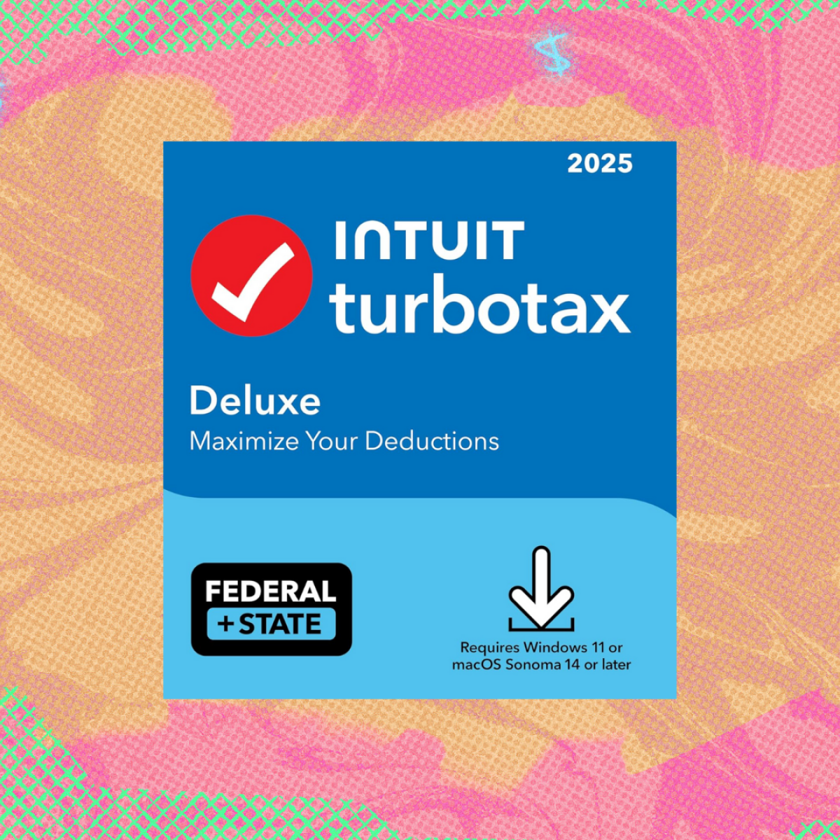 Desktop vs. Online: Which Turbo Tax Version Should You Get? - visual representation