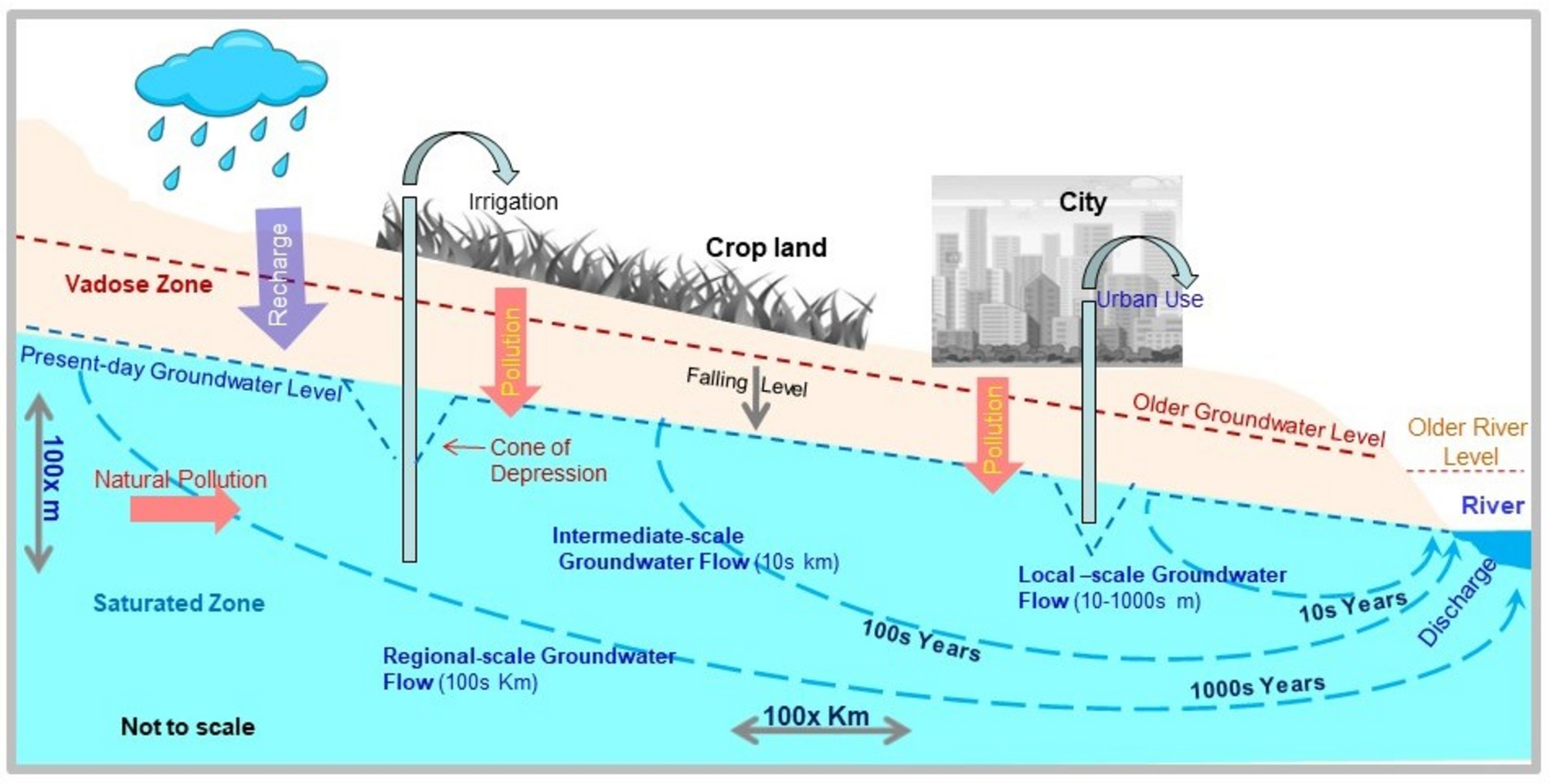 Strategies for Sustainable Management - visual representation