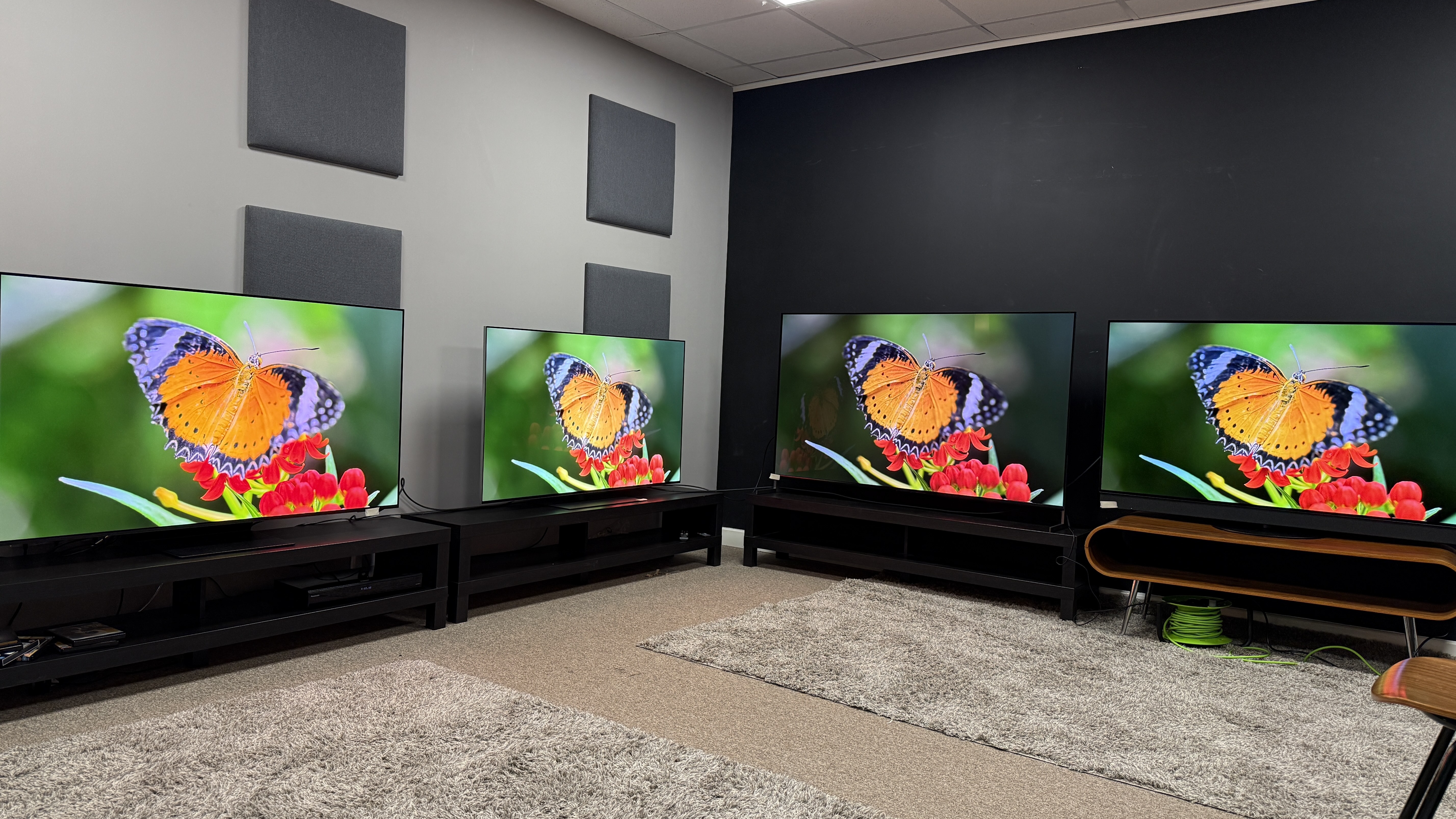 Budget and Value Alternatives: The Rise of Non-Premium Options - visual representation