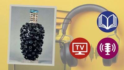 How Magnetic Confinement Fusion Actually Works - visual representation