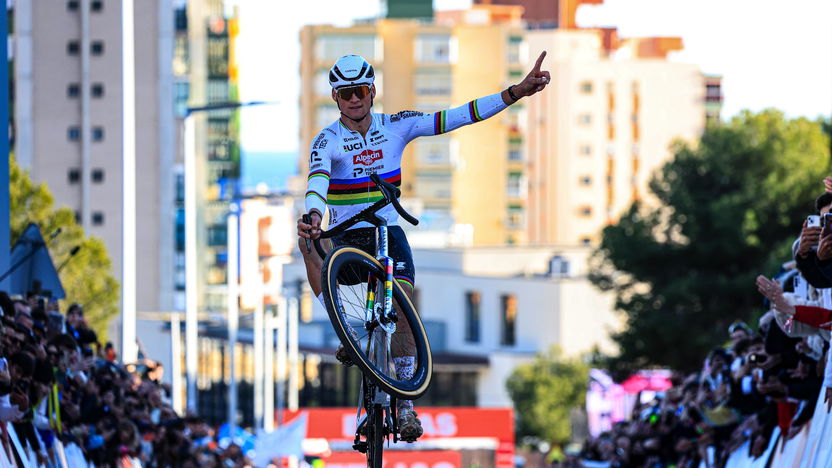 Virtual Attendance: Community Watching & Watch Parties - visual representation