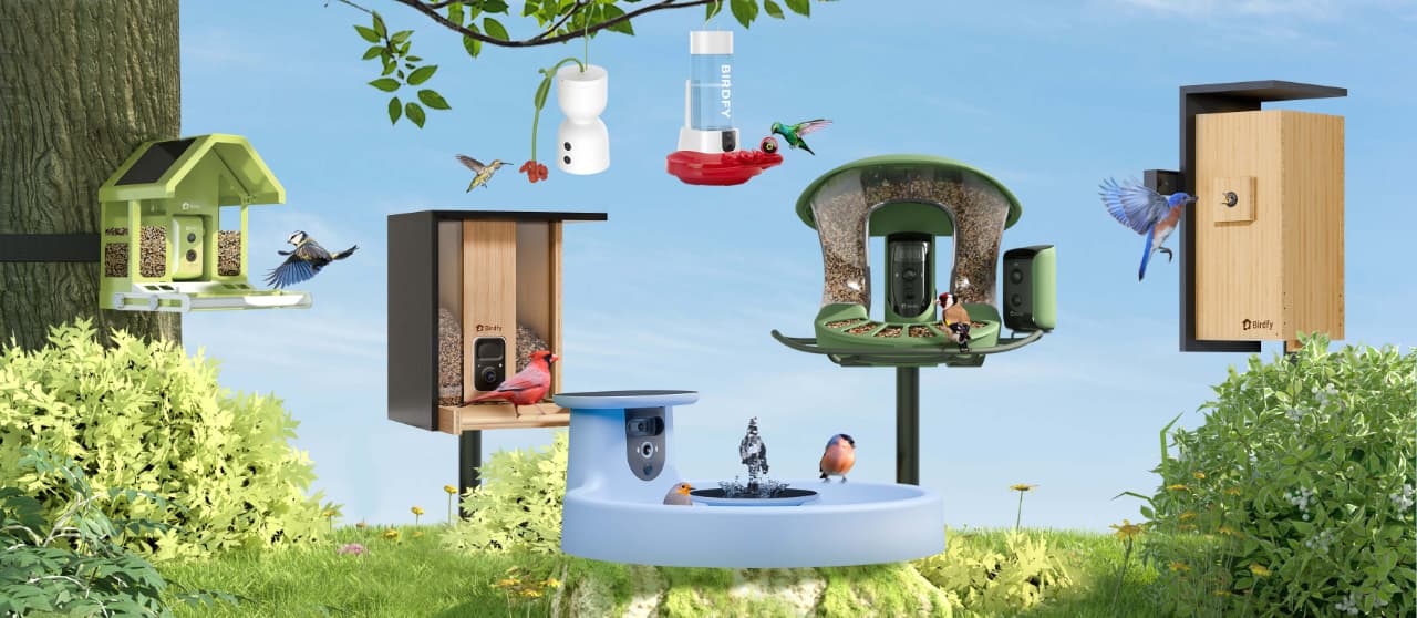 Birdfy: Bringing Nature to Your Doorstep - visual representation