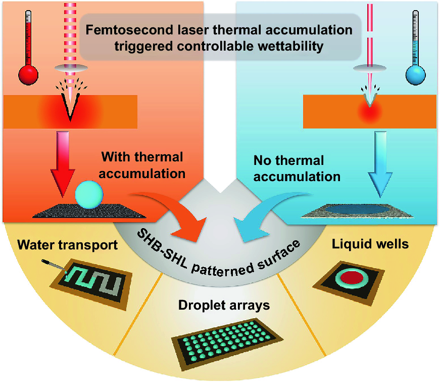 Key Research Insights and Mechanistic Understanding - visual representation