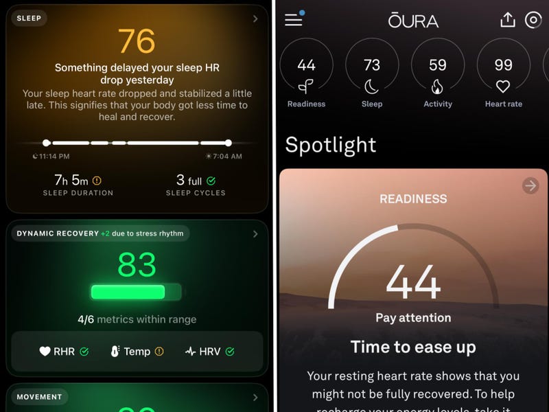 The Bigger Picture: Quantified Self and Sleep Science - visual representation