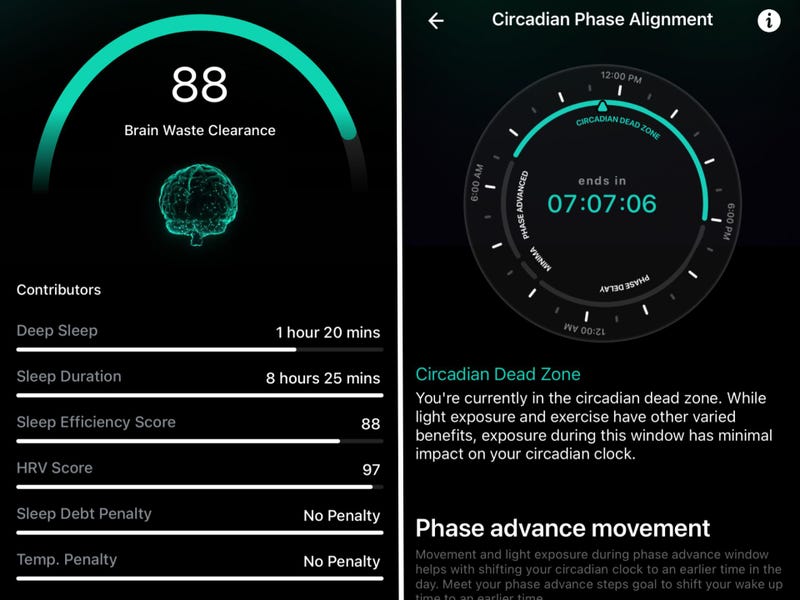 Implementation Framework: How to Optimize Your Sleep Environment - visual representation