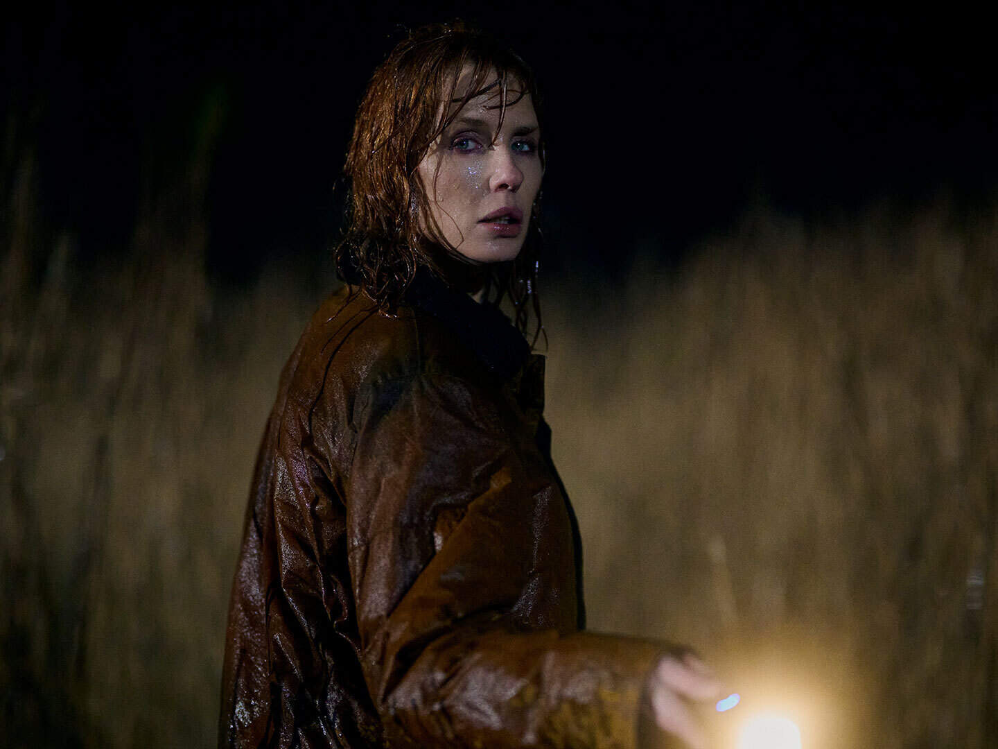 The Remaining Episodes: What Comes Next - visual representation