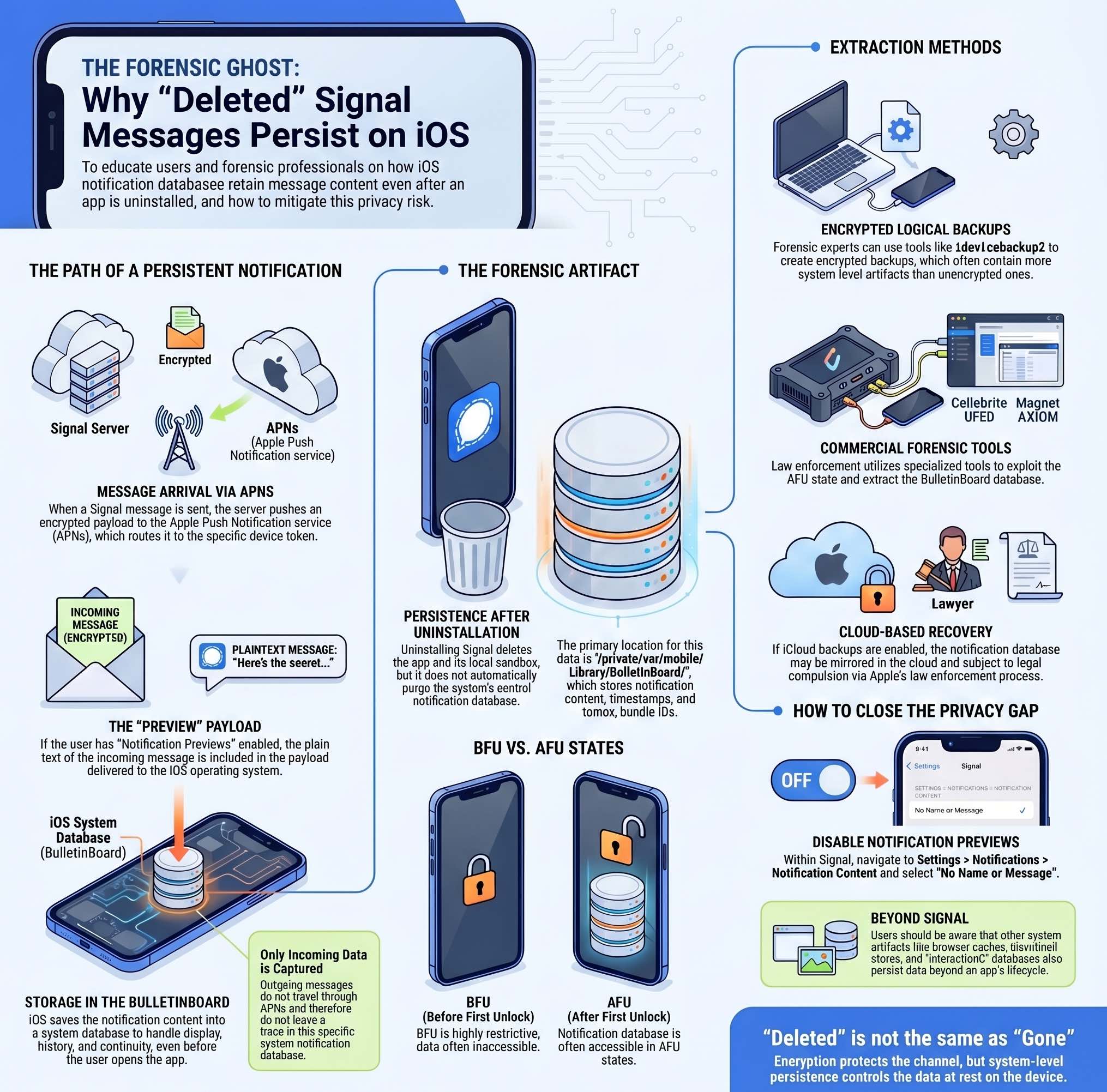 The Bug: What Happened? - contextual illustration