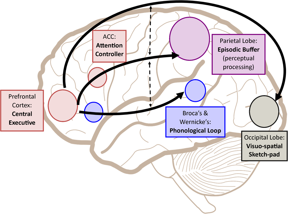 The Memory Crunch Explained - visual representation