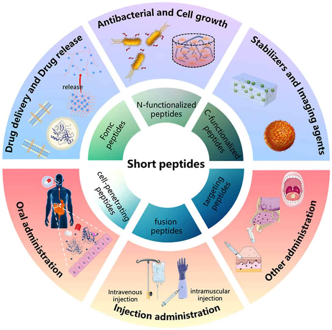 Peptides in Skincare - visual representation