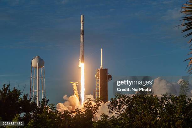 SpaceX's Dual Role: Aerospace and AI - visual representation