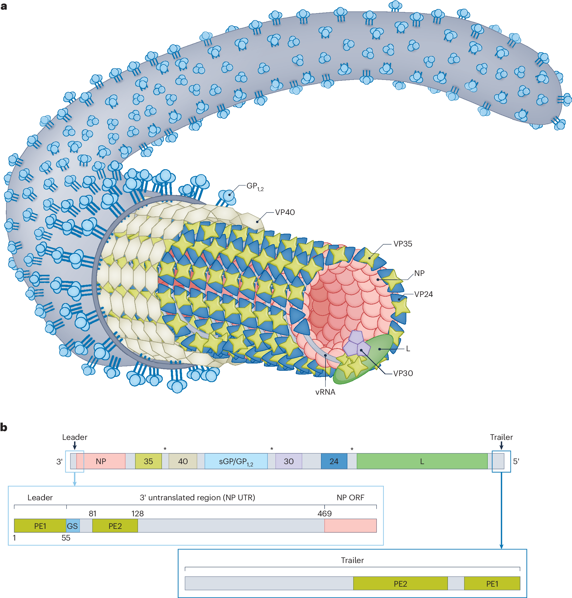 Conclusion - visual representation