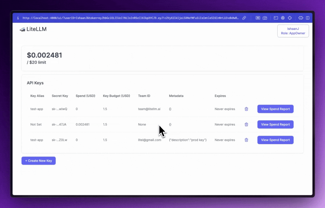 The Rise of Lite LLM and Its Importance - visual representation