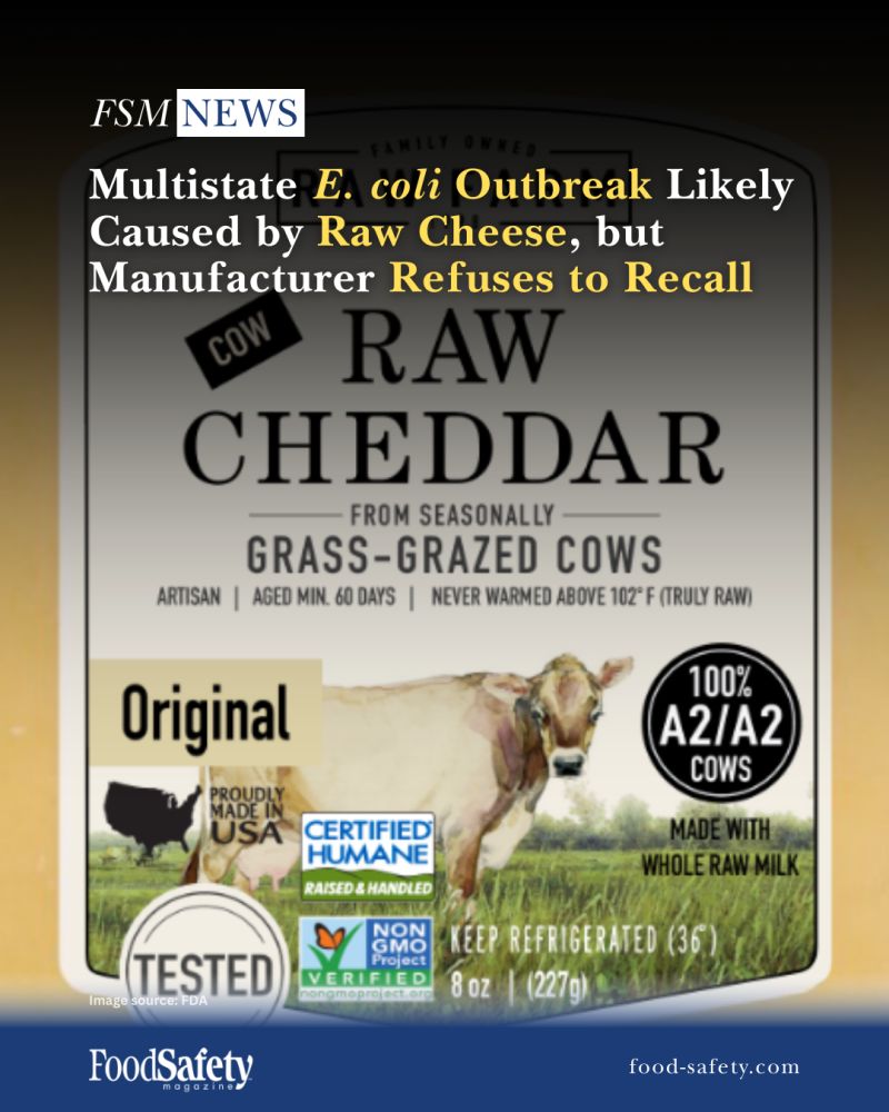 Common Pitfalls and Solutions in Raw Cheese Production - visual representation