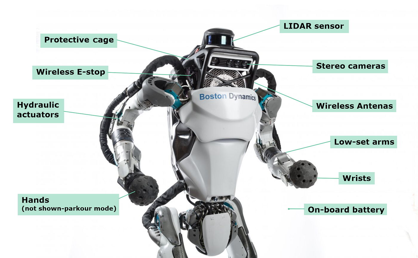 The Atlas Robot: A Technical Marvel - visual representation