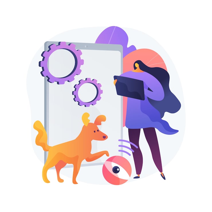 Why Rover? - visual representation