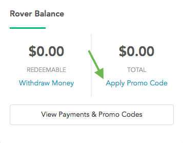 How to Find and Use Rover Promo Codes - contextual illustration