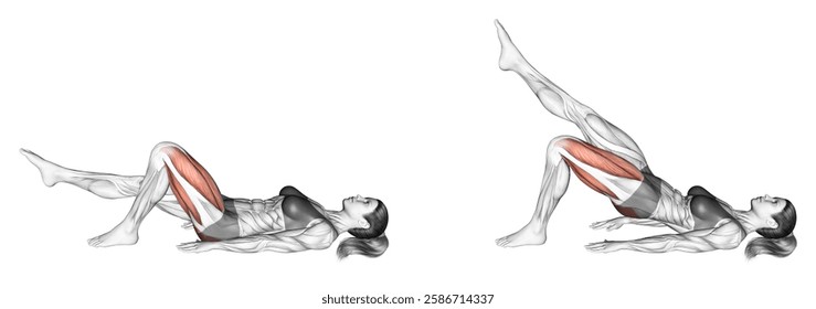 The Anatomy of a Hip Bridge - contextual illustration