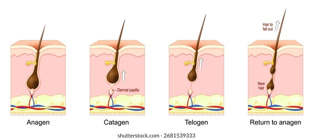 TL; DR - visual representation