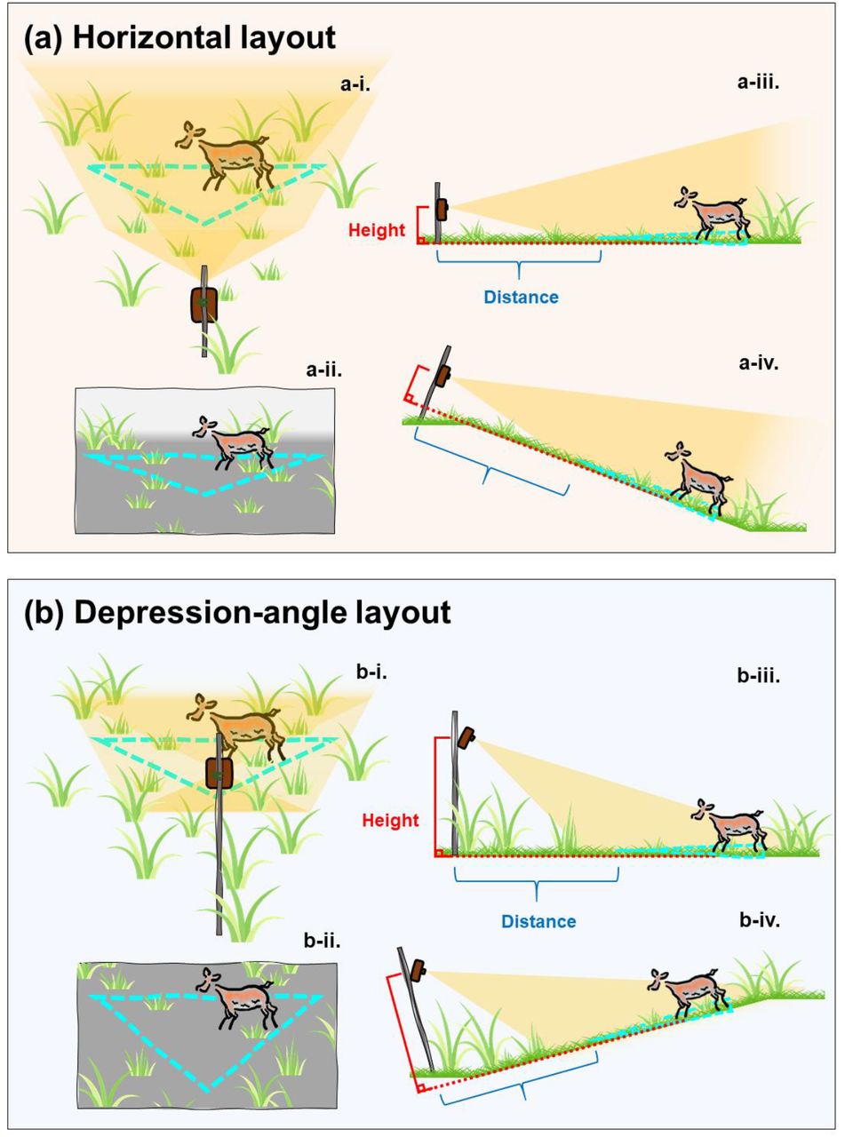 Choosing the Right Camera Trap - visual representation