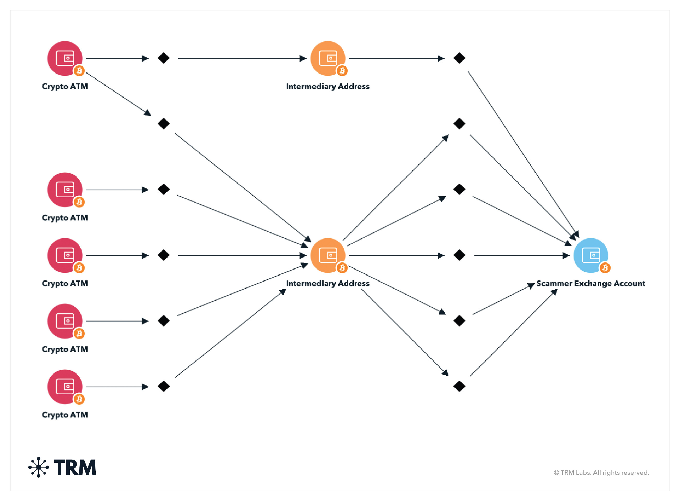 The Anatomy of the Scam - contextual illustration