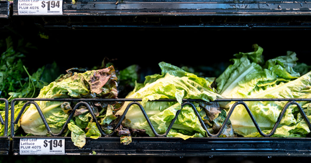 Conclusion: A Collaborative Effort for Safer Food - visual representation
