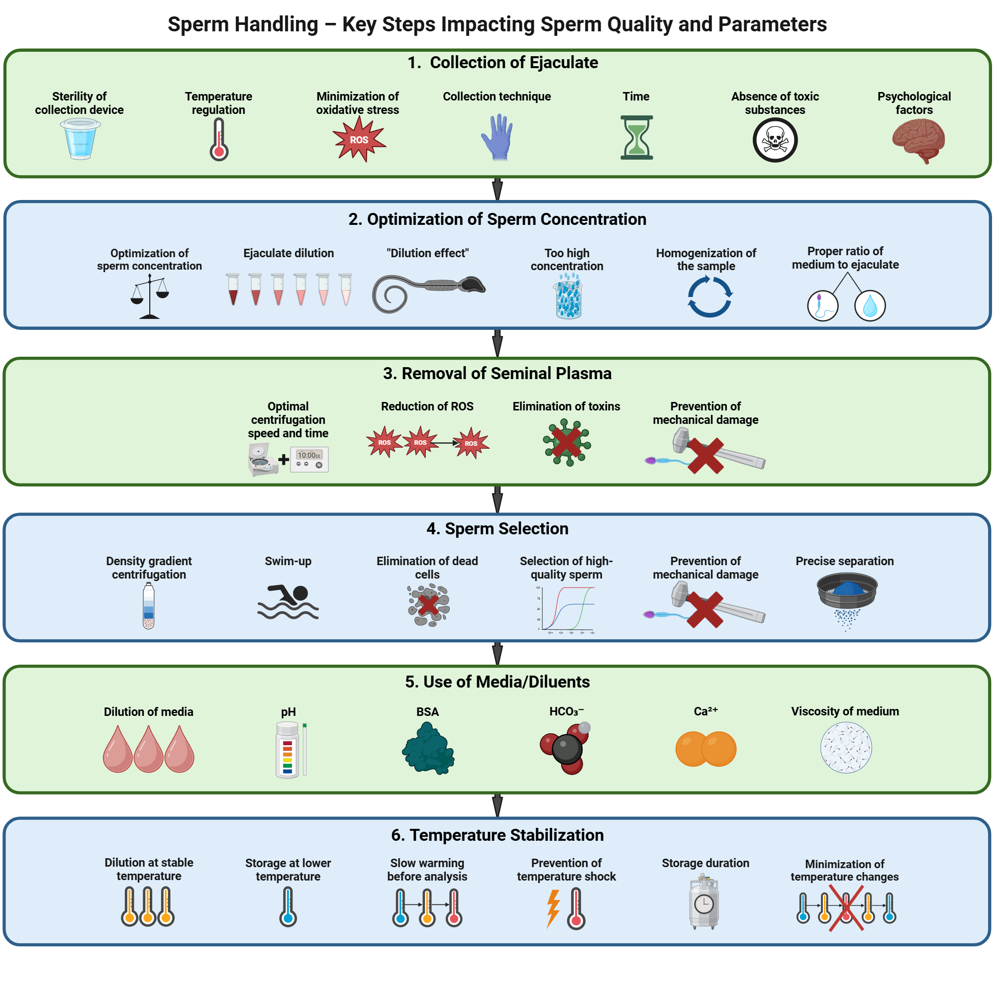 The Science Behind Sperm Health - visual representation