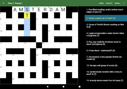 The Allure of Cryptic Crosswords - visual representation