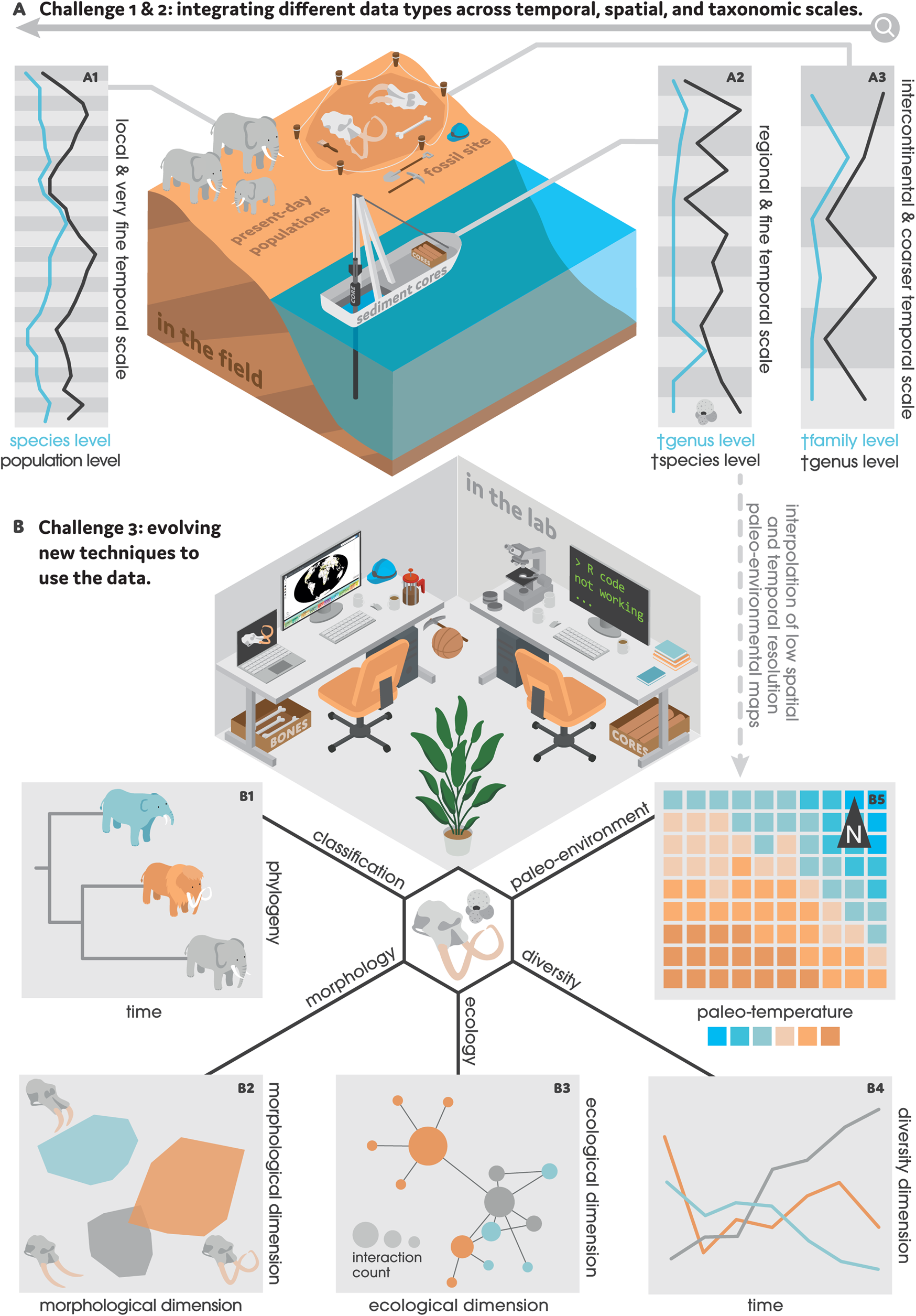 Future Directions in Paleontological Research - contextual illustration